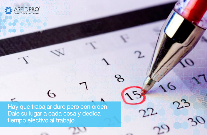 organiza