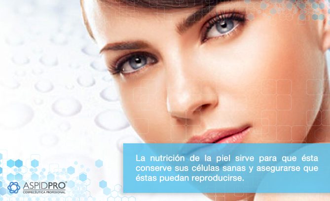 6-AEssence_astringente